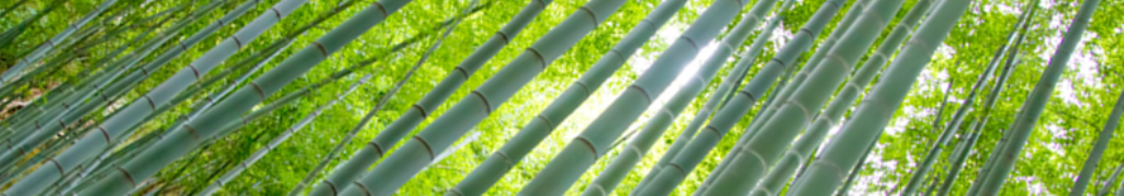 レディースブーツについての記事紹介