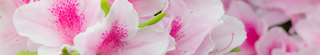 ワインについての口コミ！！