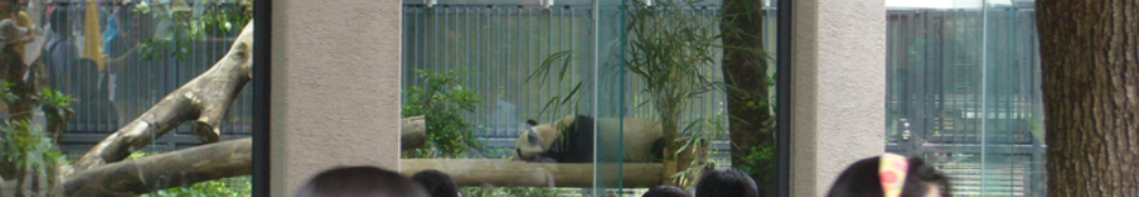 低速ジューサー関連・最新情報！！