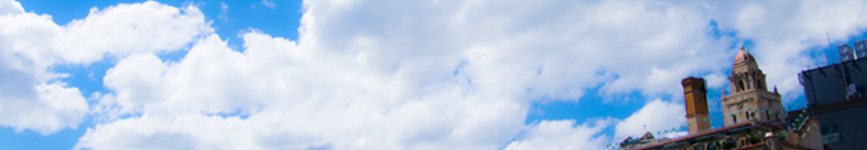 タレントカレンダーの関連ニュース