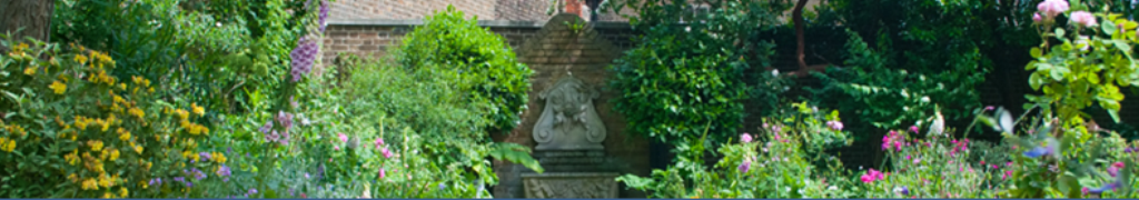 ヴァージンココナッツオイルのニュースはいかが？