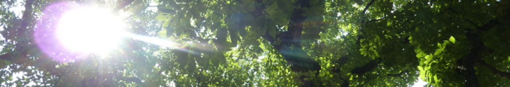 英会話、知っておきたいコレ！！