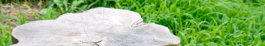 マスターカットの情報収集なら！！